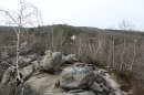 forêt des Grands Avaux